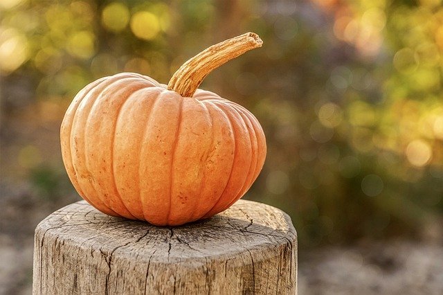 Pumpkin rests on a stump outside | Photo: Pixabay