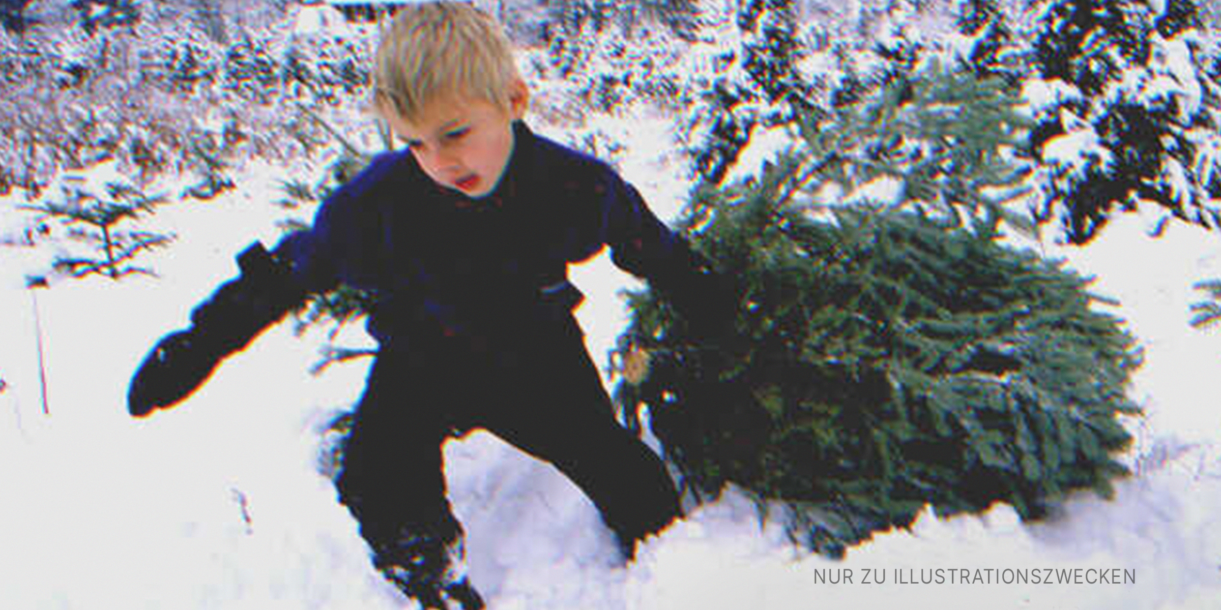 Kleiner Junge, der einen Weihnachtsbaum zieht | Quelle: Getty Images
