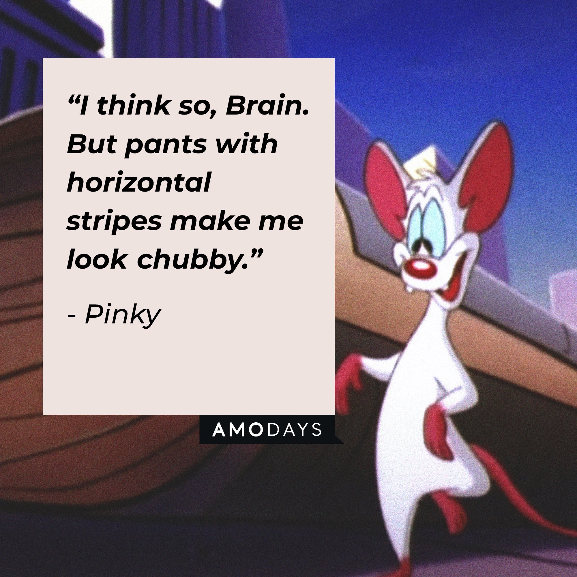 Pinky's quote: “I think so, Brain. But pants with horizontal stripes make me look chubby.” | Image: AmoDays