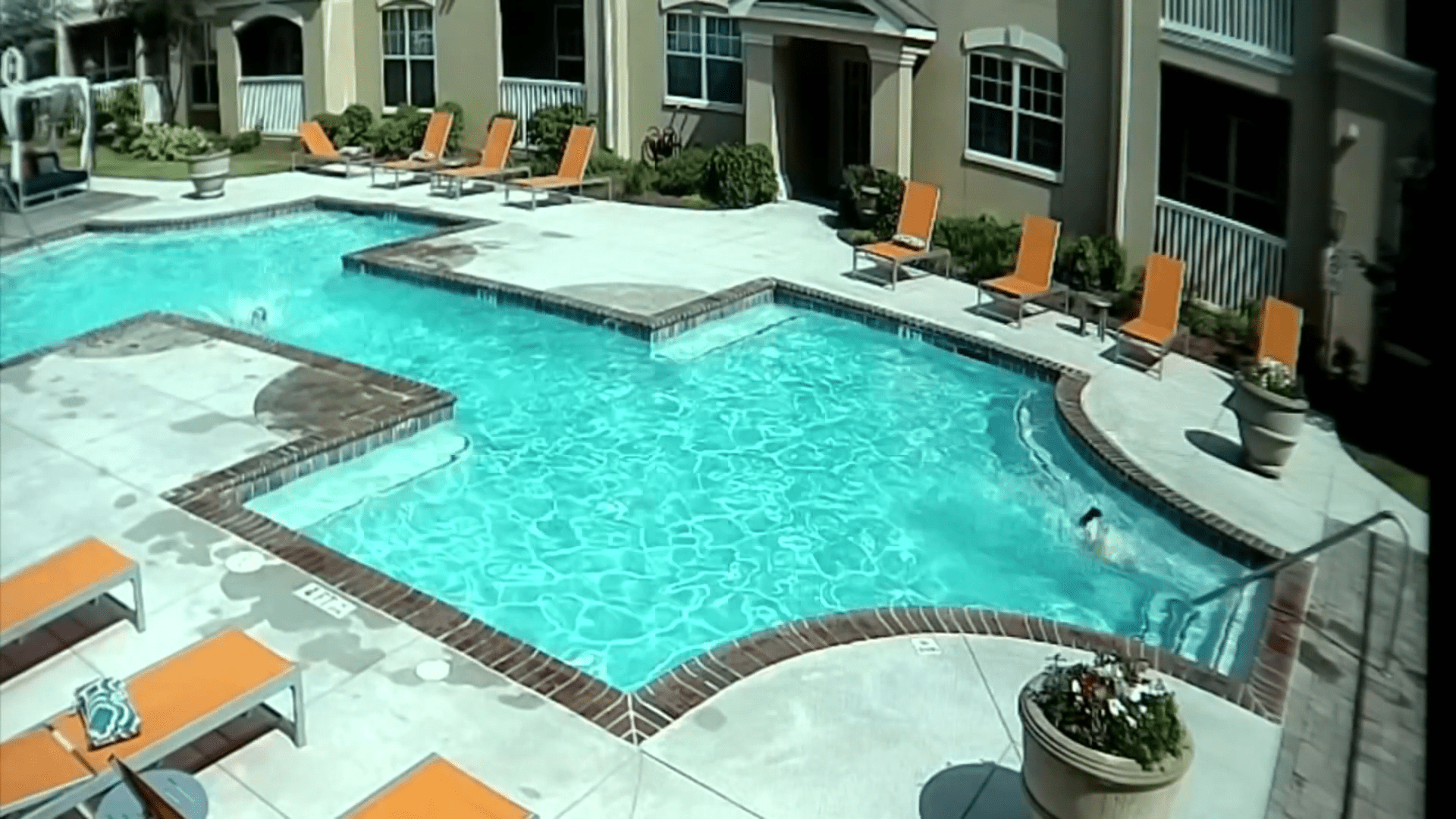 Kali entrando en la piscina │Imagen tomada de: YouTube / WSAV3