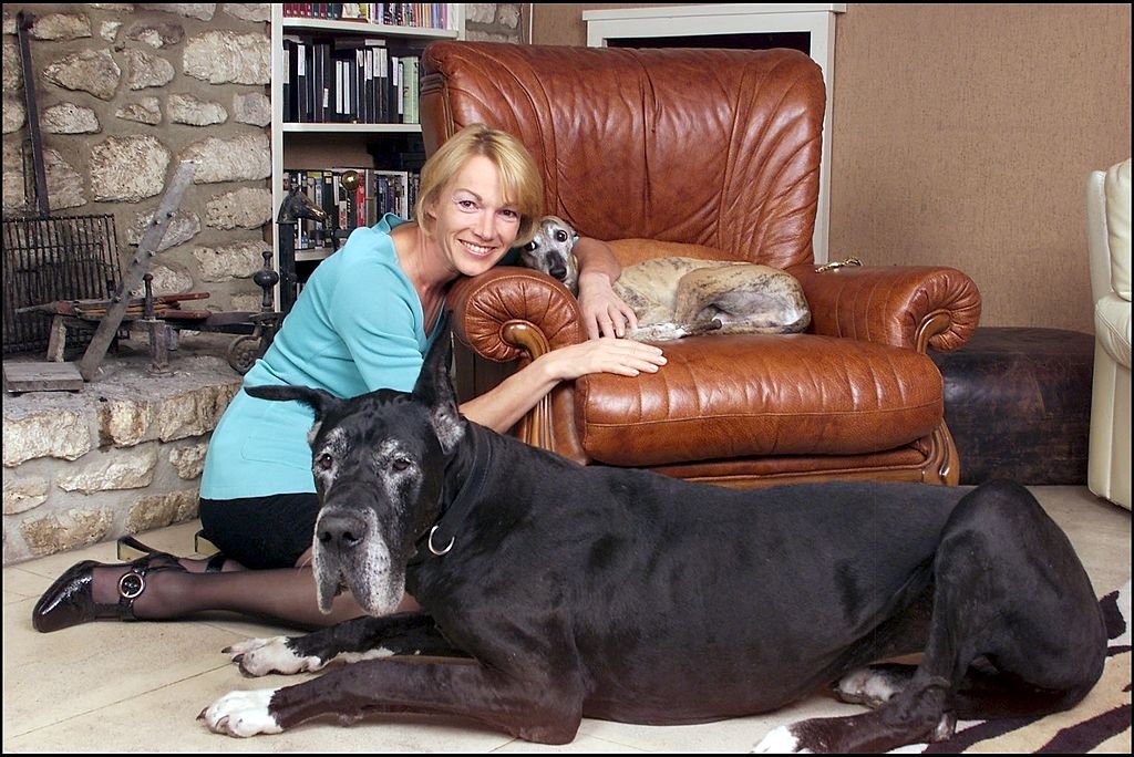 Brigitte Lahaie chez elle en France en août 2001. | Photo : Getty Images