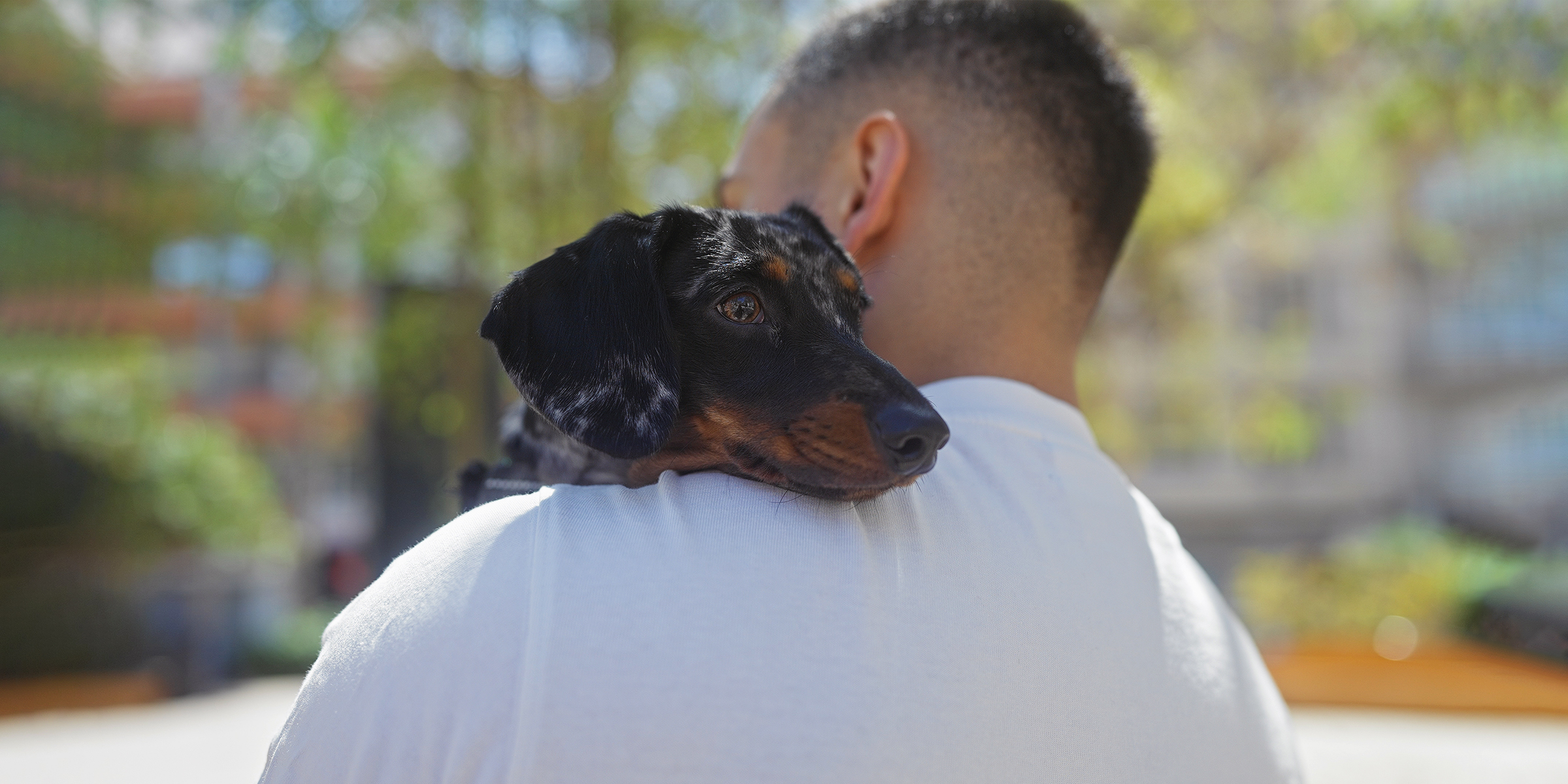 A man with a dog | Source: Shutterstock