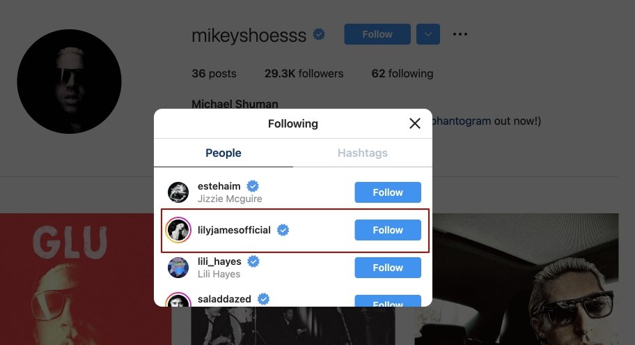 Michael Shuman's follows Lily James' Instagram. | Source: Instagram.com/mikeyshoesss 