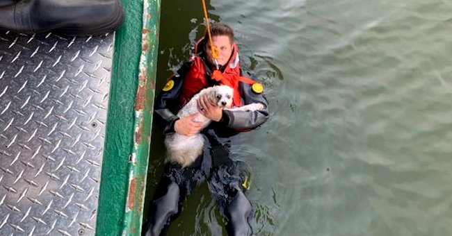 A man clings to his dog as both of them are towed and rescued from a river | Photo: Twitter/NYPDSpecialops
