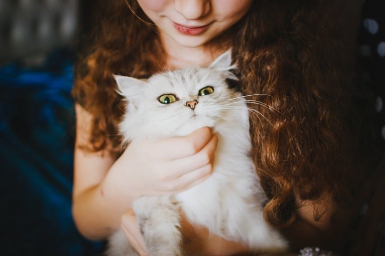 Une petite fille tenant un chat. | Photo : Unsplash