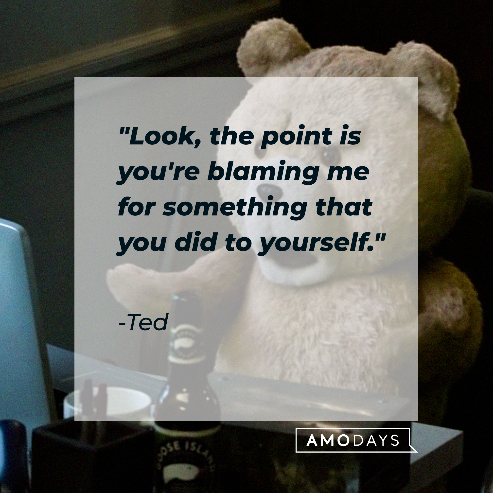 Ted's quote: "Look, the point is you're blaming me for something that you did to yourself." | Source: facebook.com/tedisreal