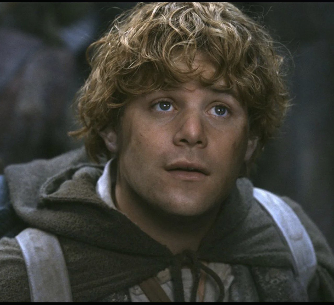 In "The Fellowship of the Ring," Sean Astin played Samwise Gamgee, Frodo's fiercely loyal companion whose courage and devotion became the emotional backbone of the trilogy. With his curly hair, honest gaze, and quietly heroic spirit, Astin's portrayal of Sam cemented him as one of the most beloved characters in the franchise. | Source: The Fellowship of the Ring