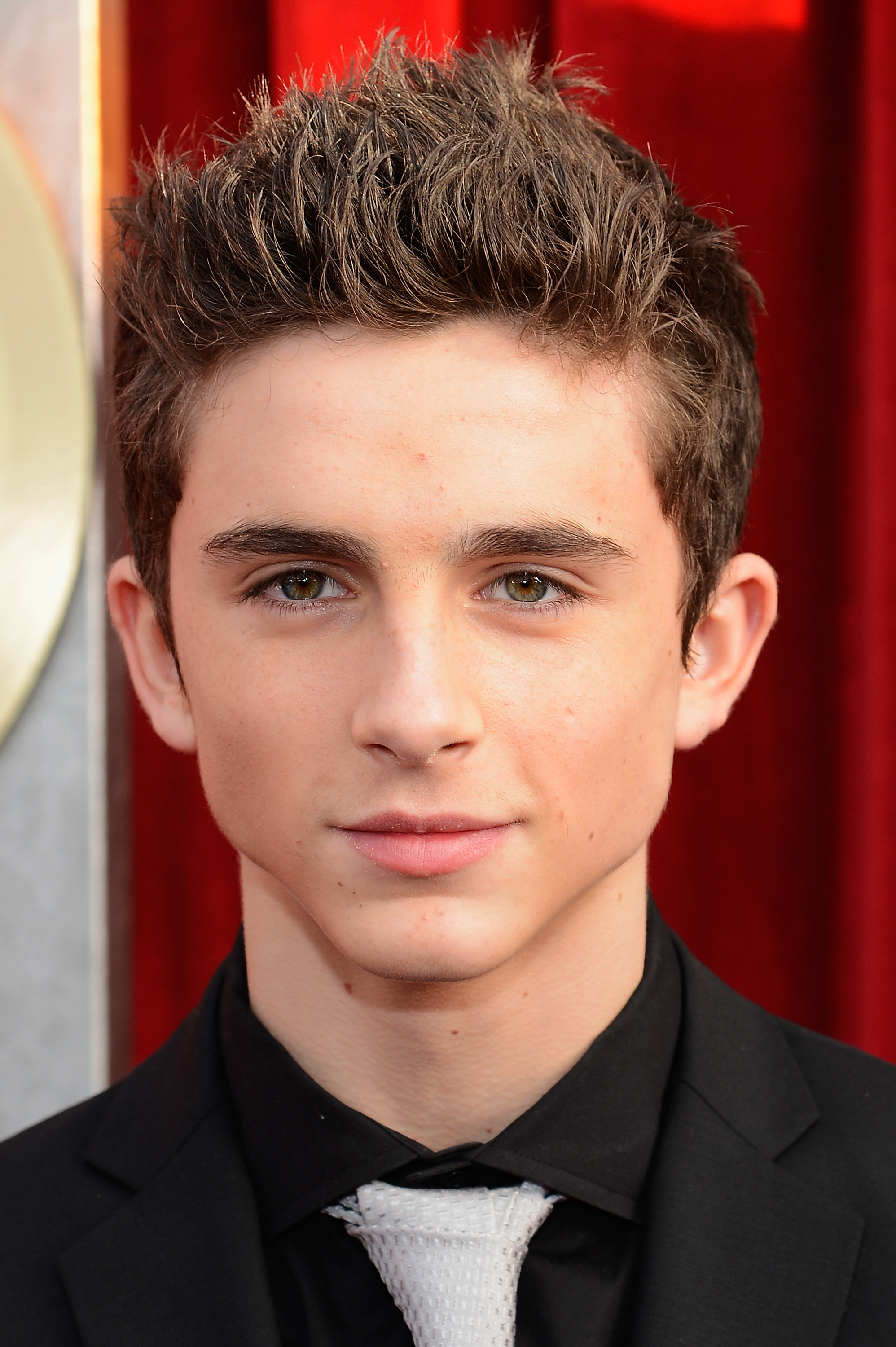 Timothee Chalamet arrives at the 19th Annual Screen Actors Guild Awards held at The Shrine Auditorium on January 27, 2013, in Los Angeles, California | Source: Getty Images