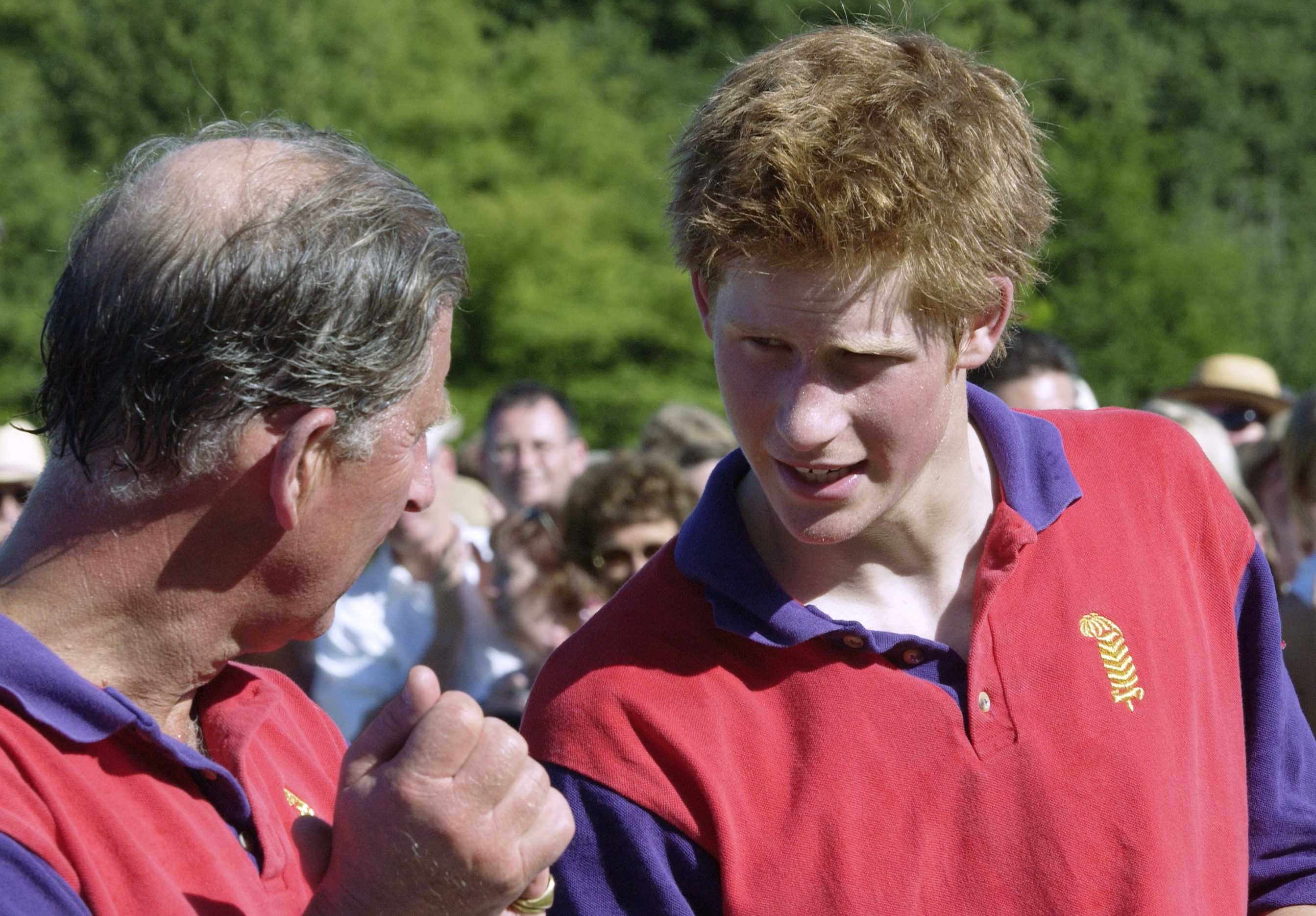 Prince Charles and Prince Harry during a polo match on July 12, 2003 in Tidworth, England | Source: Getty Images
