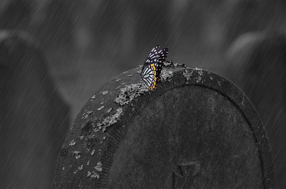 Fuente: Pixabay Fuente: Pixabay