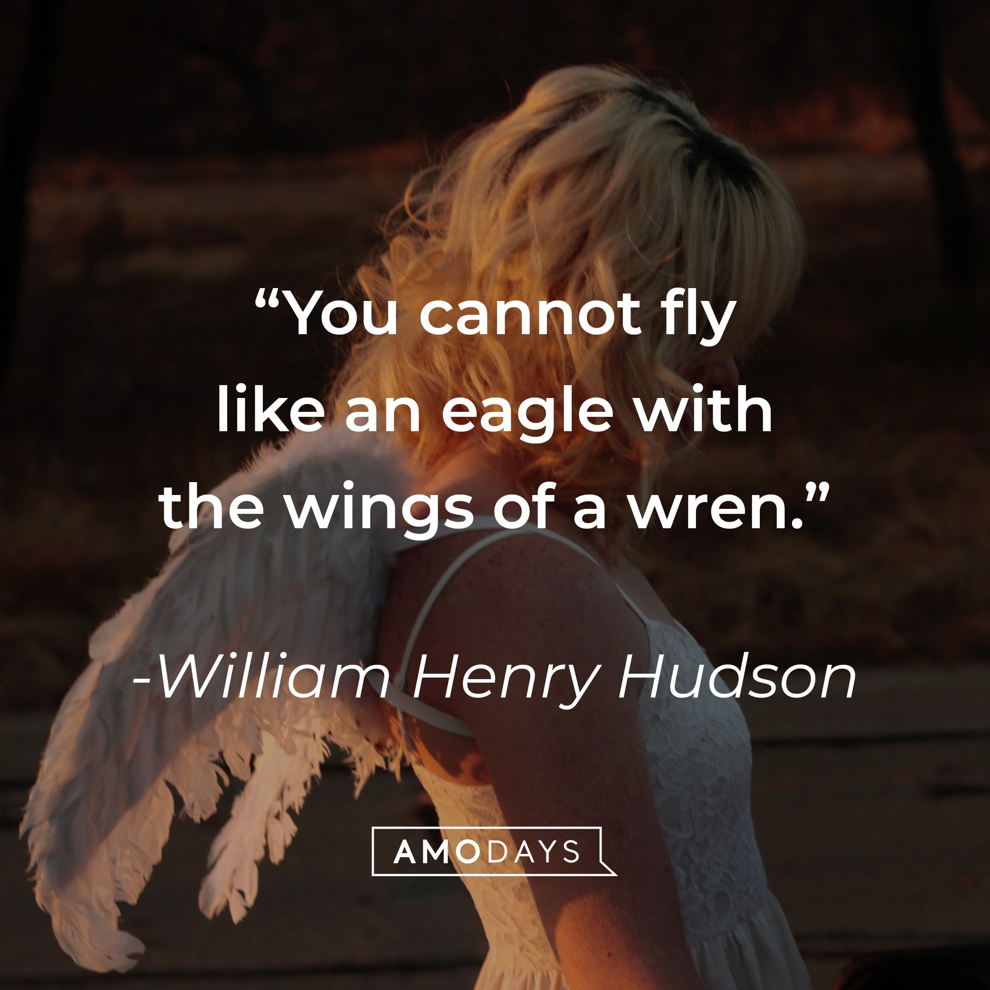 William Henry Hudson's quote: "You cannot fly like an eagle with the wings of a wren." | Image: AmoDays