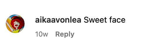 A screenshot of a comment about Linda Evans in January 2022. | Source: Instagram.com/@lindaevansofficial
