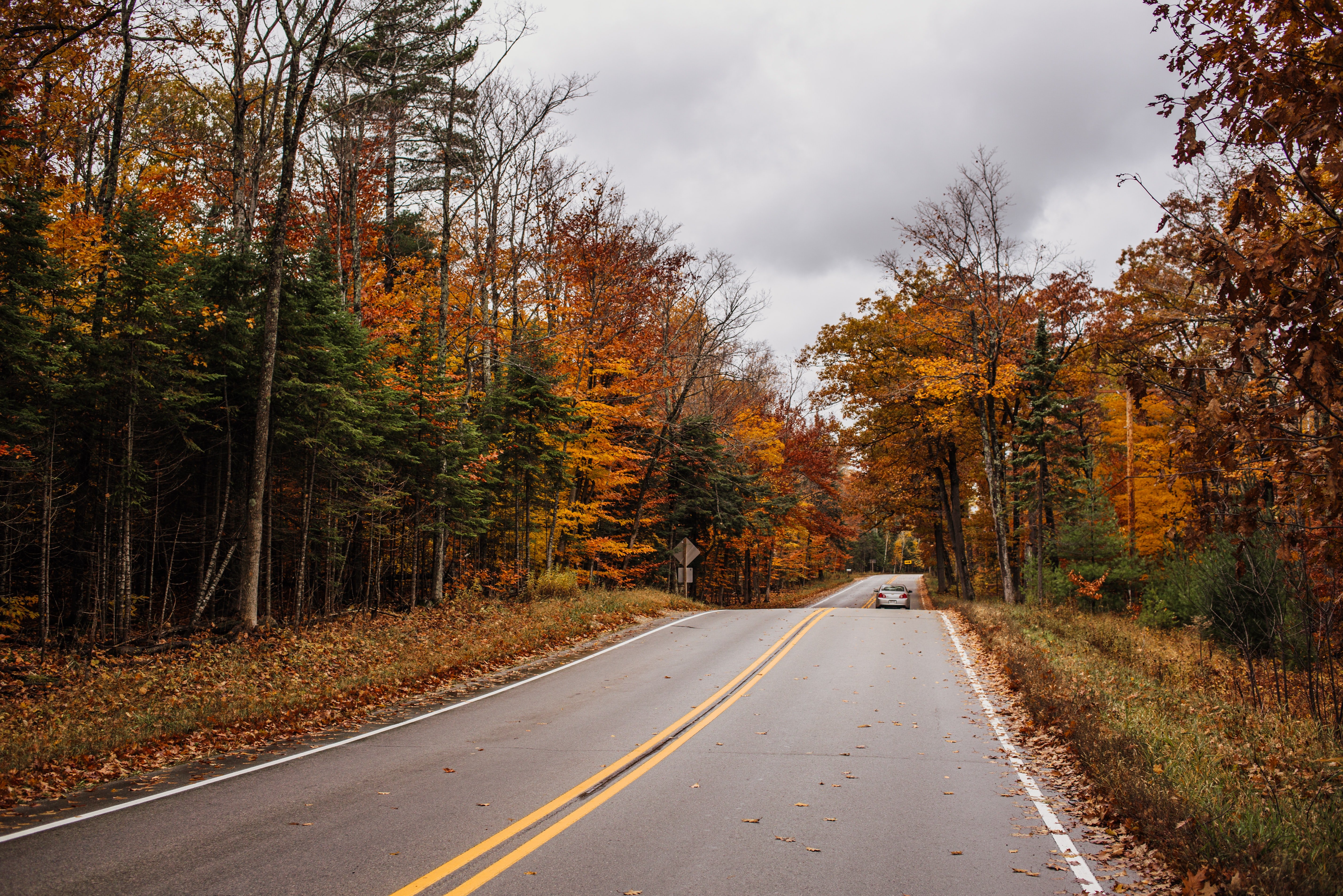 Steven had dropped off Alice on the highway & he never returned to pick her up. | Source: Unsplash
