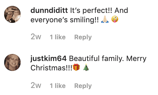Fans' comment on Denise Richards' Instagram post. | Source: Instagram/deniserichards