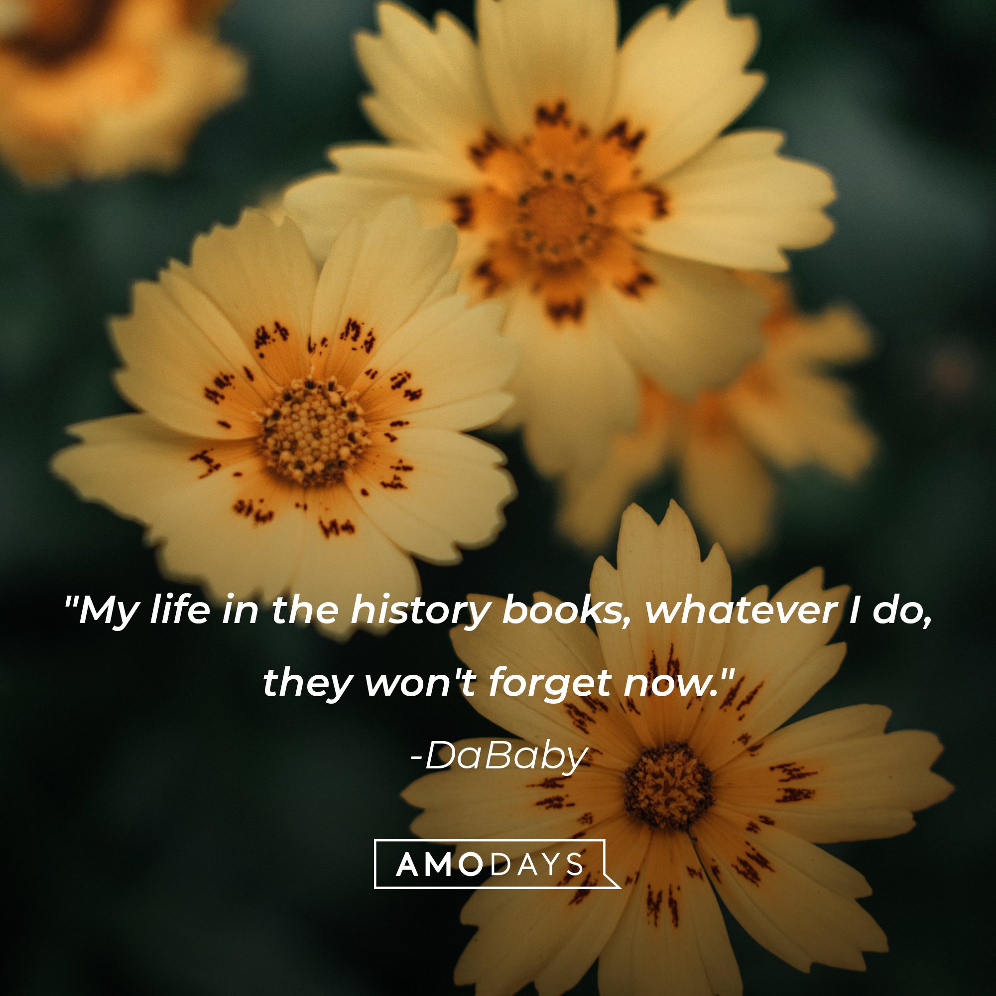 DaBaby‘s quote: "My life in the history books, whatever I do, they won't forget now."  | Image: AmoDays