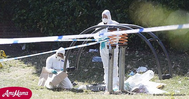 Woman fighting for her life after being attacked in children's play park