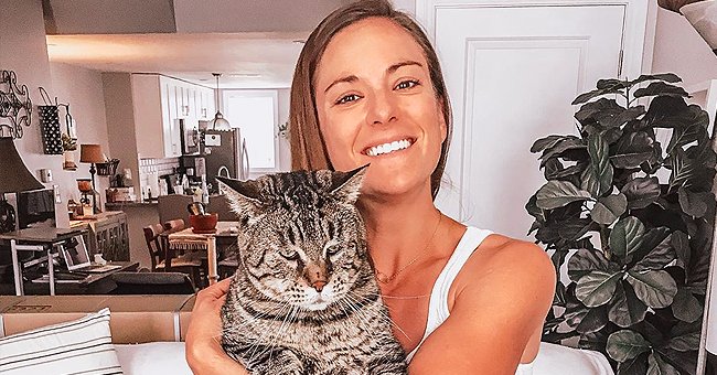 Meet Massive 26 Pound Cat Named Beejay Who Uses His Platform To Raise Money For Cat Rescuers 
