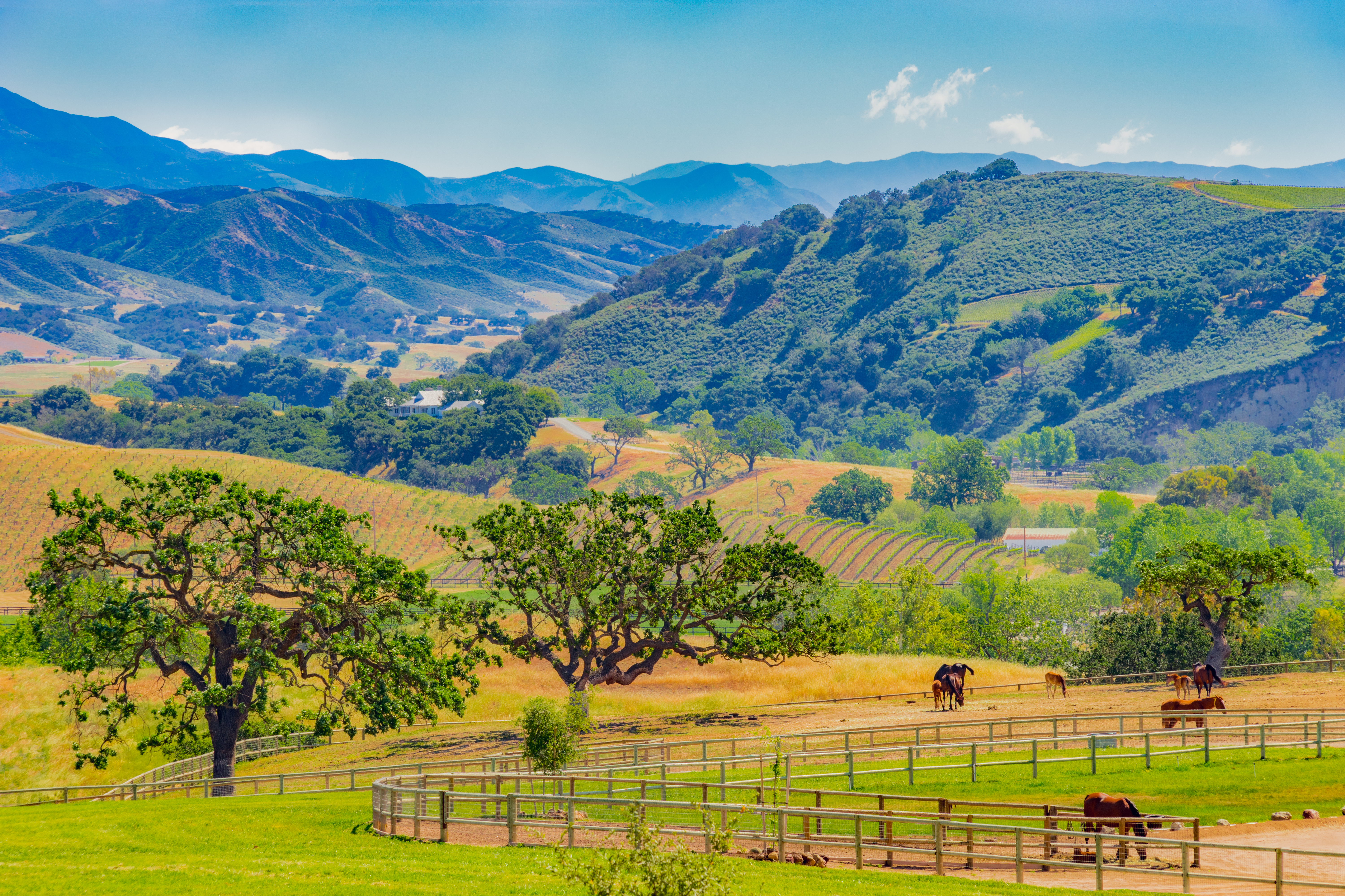 Santa Ynez Mountains Valley in Santa Barbara | Source: Getty Images