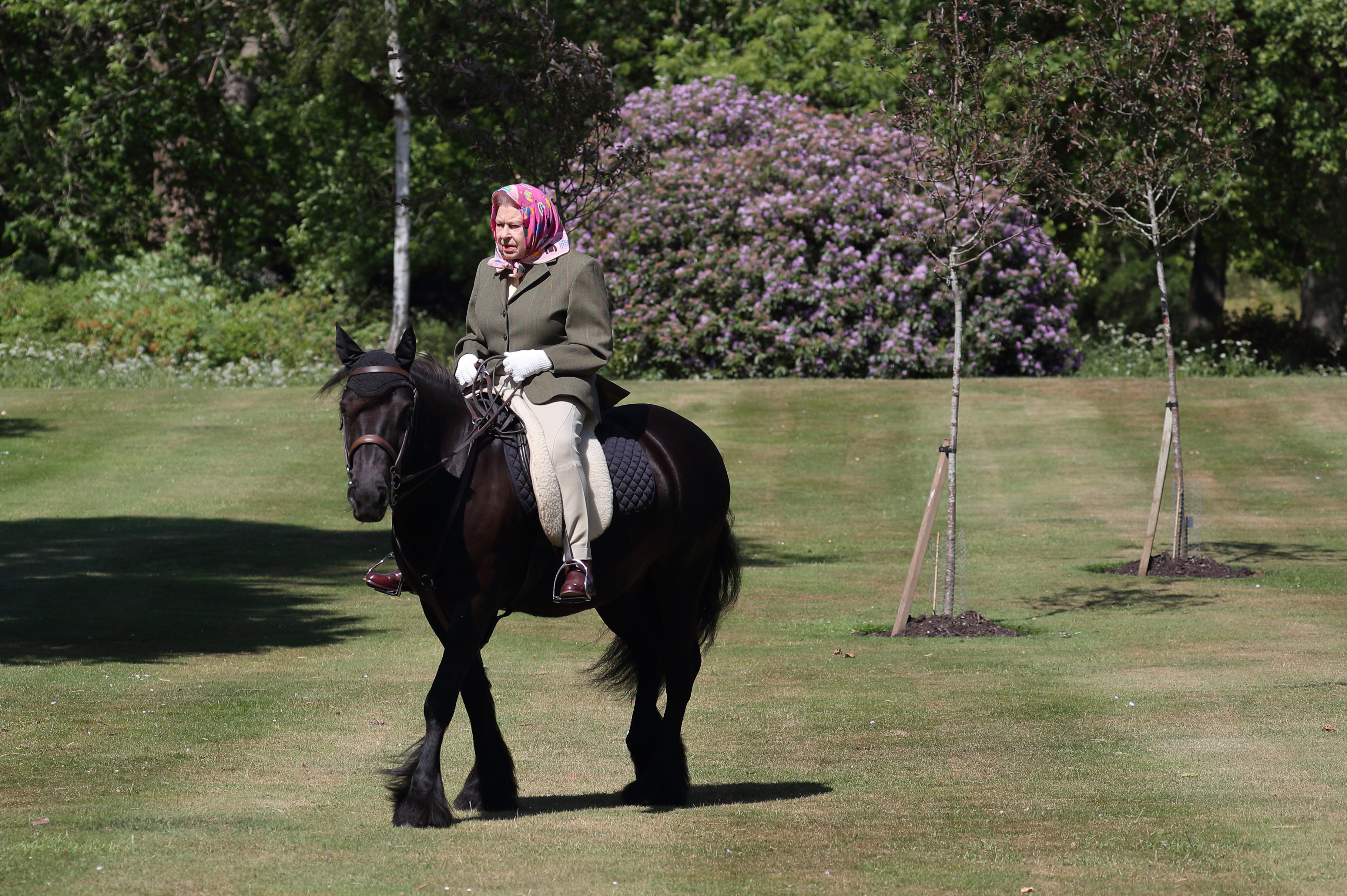 Queen Elizabeth II rides Balmoral Fern, a 14-year-old Fell Pony, in Windsor Home Park over the weekend of May 30 and May 31, 2020, in Windsor, England. | Source: Getty Images.
