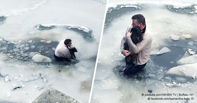 Man jumps into the frozen creek in a daring attempt to save a helpless dog stuck in the ice