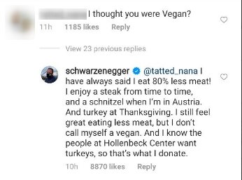 Arnold Schwarzenegger replies a fan's comment under an Instagram post he made. | Photo: Instagram/schwarzenegger 