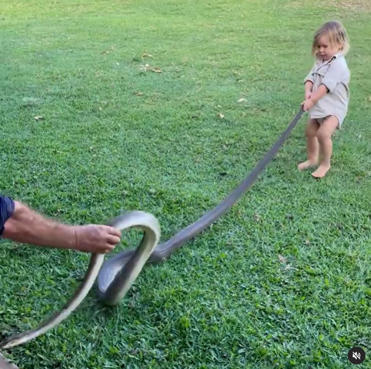Matt Wright and his son, Banjo, playing with a snake on September 30, 2021 | Source: Instagram/mattwright