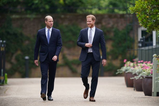 Les pinces William et Harry | Photo : Getty images