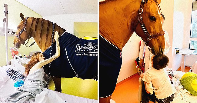 The horse Doctor Peyo comforting patients. │Source: instagram.com/docteur_pey