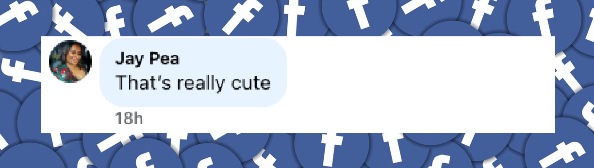 Fan comment about Simone Biles' football game look, posted on December 15, 2025. | Source: Facebook/People