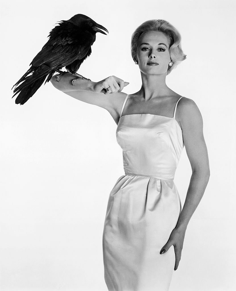 Tippi Hedren poses with Buddy, the Raven, between scenes of Alfred Hitchcock's "The Birds" on January 1, 1963 | Photo: Getty Images