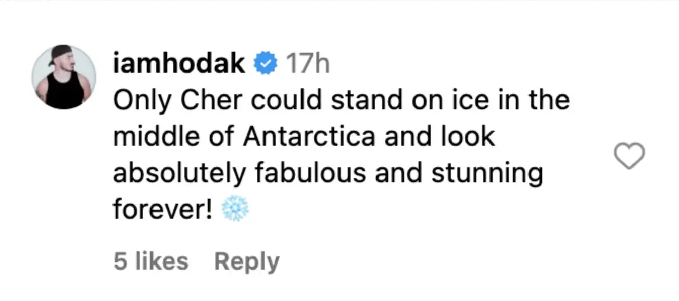 A fan comments on Cher's post | Source: Instagram/cher