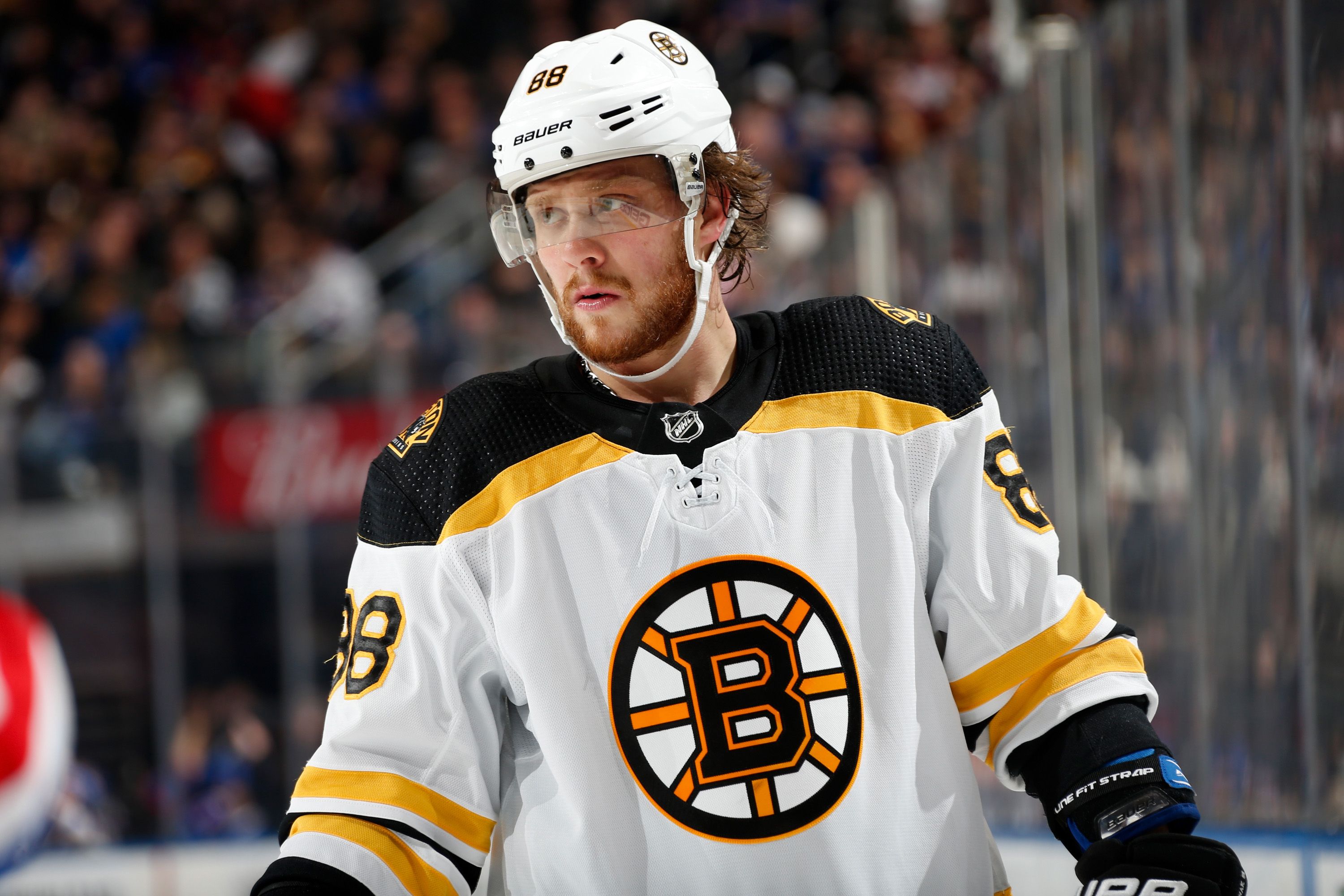 David Pastrnak at Madison Square Garden on February 16, 2020, in New York City | Photo: Jared Silber/NHLI/Getty Images