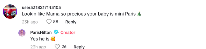 Fan comment about Paris Hilton and her baby and Paris Hilton's response, dated November 13, 2023 | Source: TikTok/parishilton