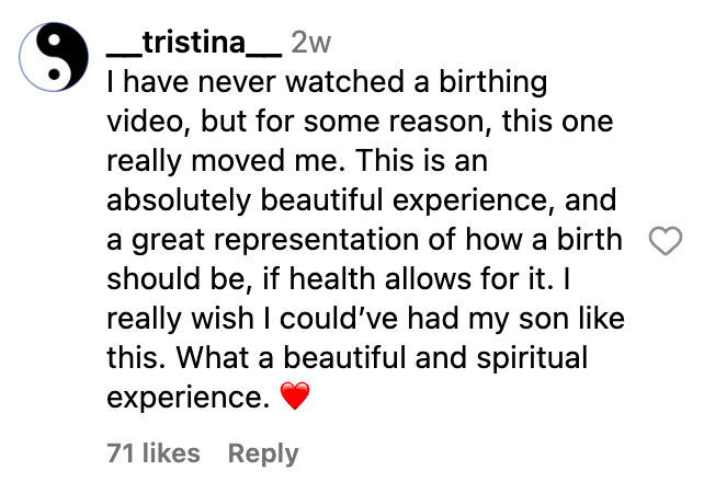 A screenshot of a comment talking about Linda Thompson's video posted on August 11, 2023 | Source: Instagram/ltlindathompson