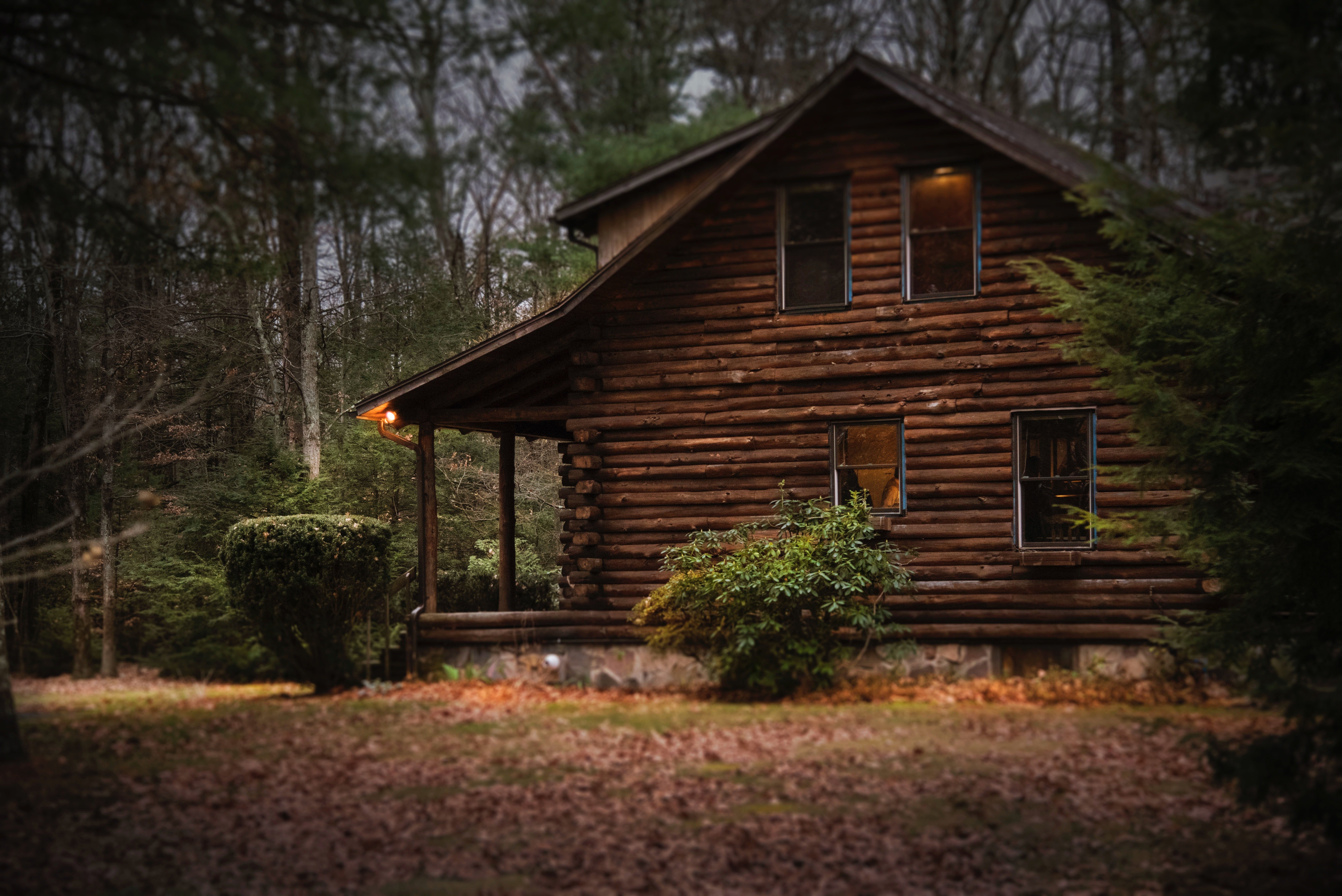 Pictured - A brown cabin in the woods | Source: Pexels 