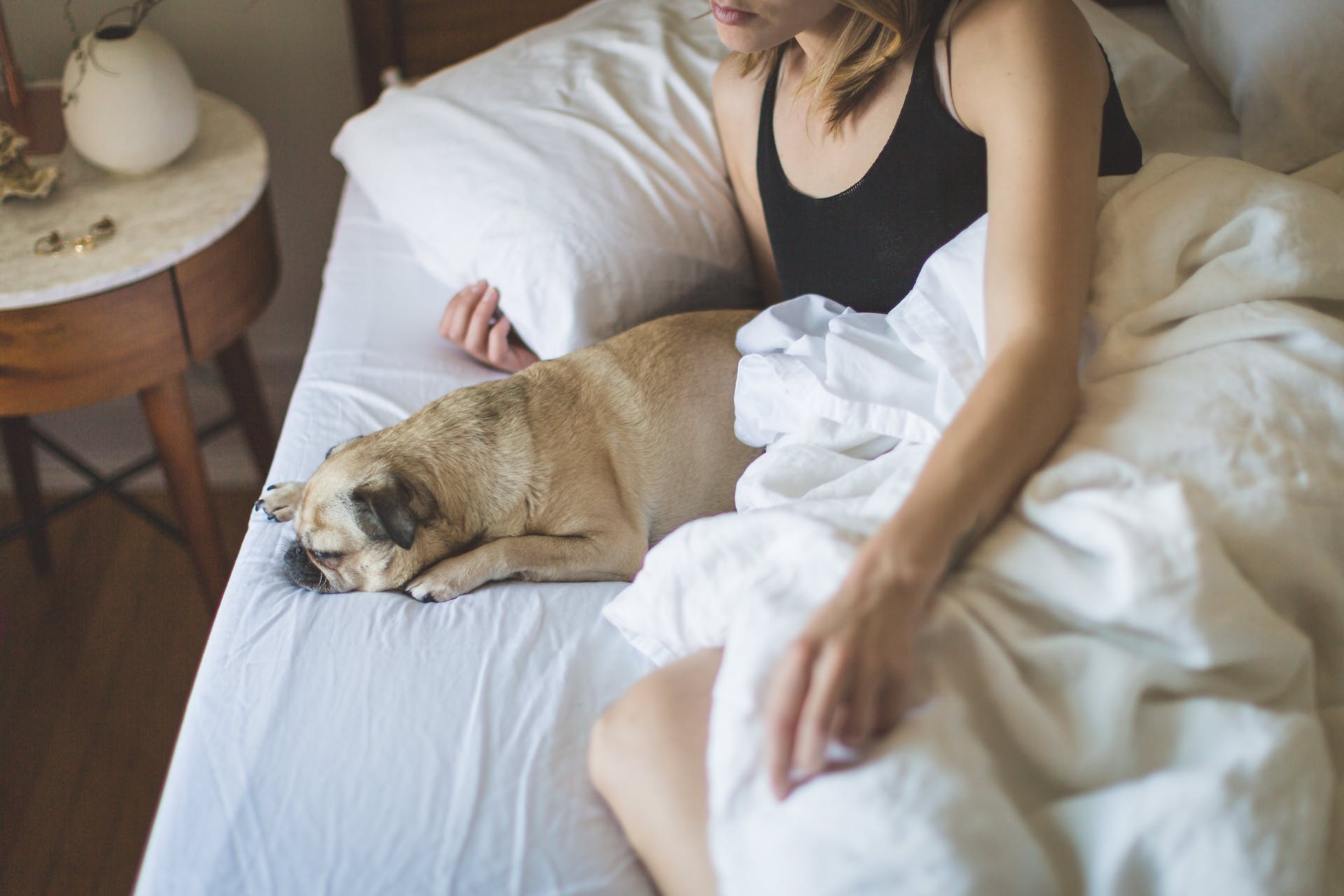 Woman and dog in bed | Source: Pexels