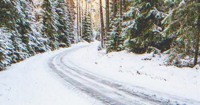 Camino lleno de nieve. | Foto: Shutterstock