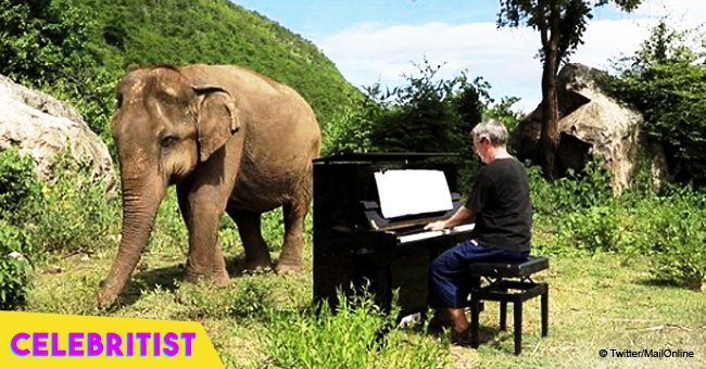 Blind elephant ‘dances’ to piano music played to her by man in the wild