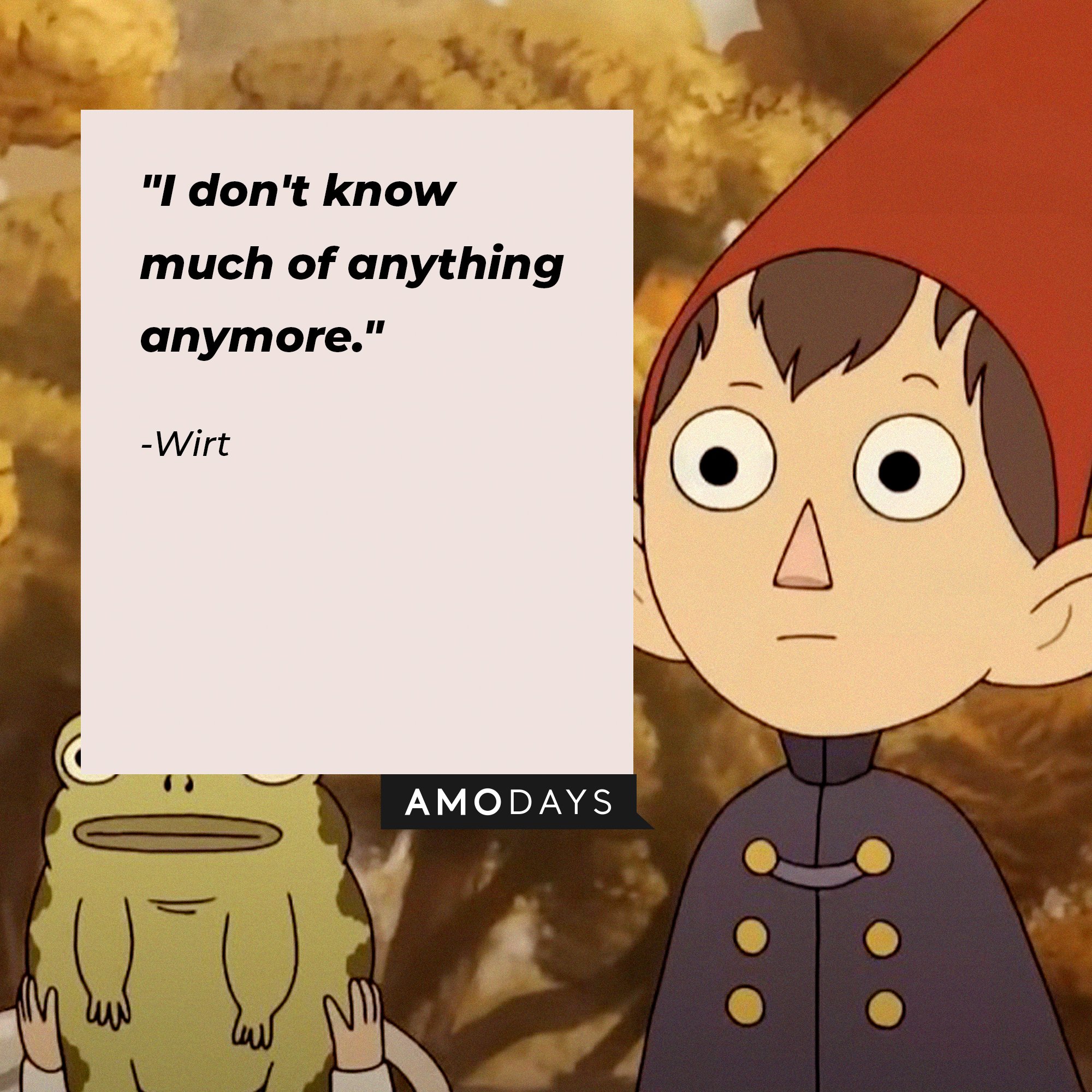 Wirt’s quote: "I don't know much of anything anymore." | Image: AmoDays