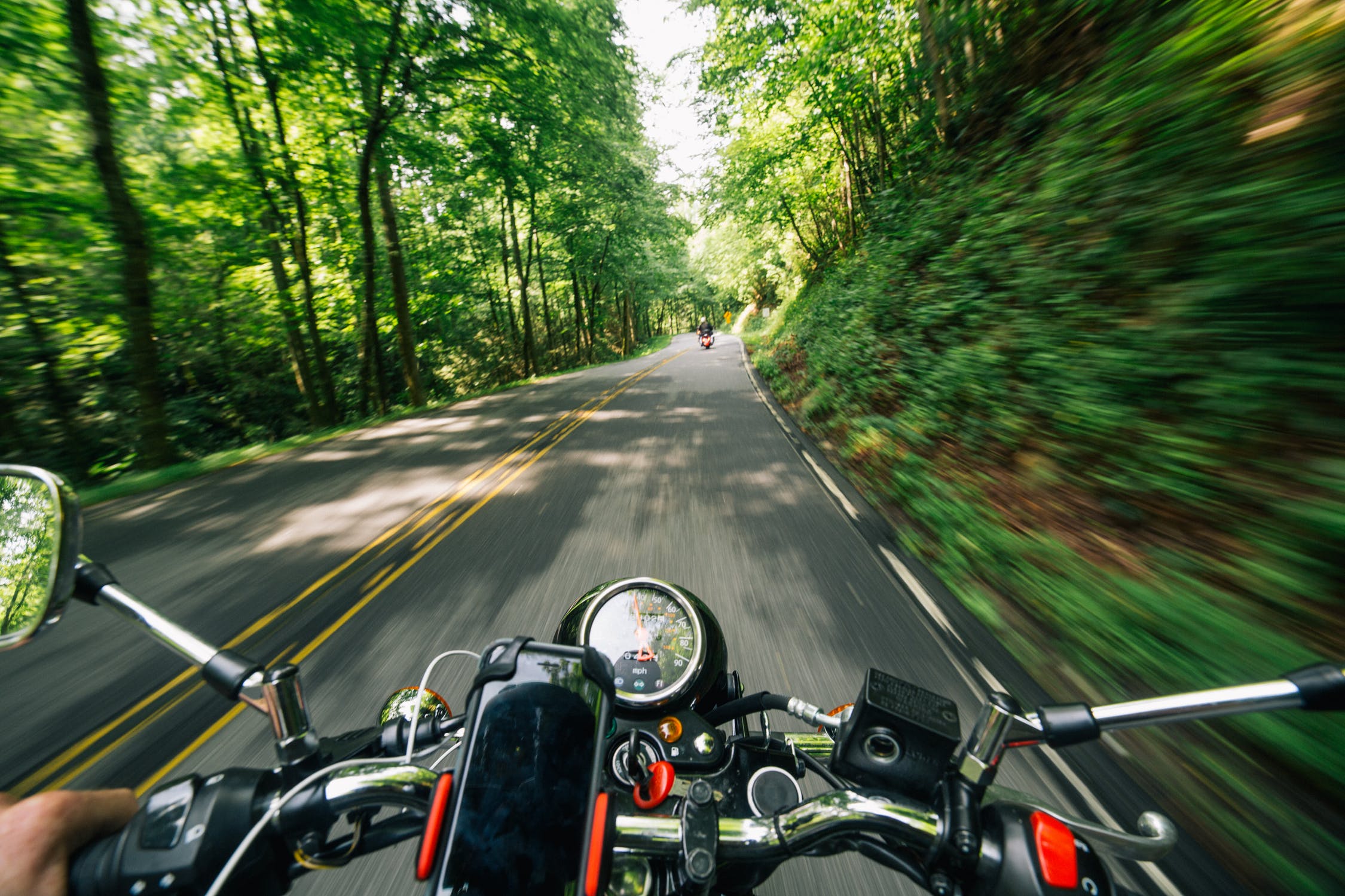 Motocycliste circulant le long d'une route entourée de végétation. | Image : Pexels