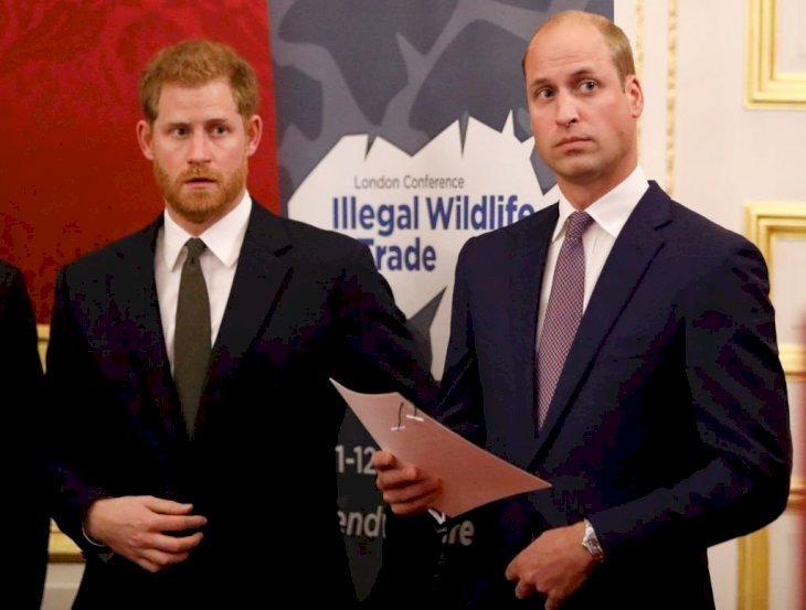 Príncipes Harry y William en evento de The Royal Foundation. | Foto: Getty Images