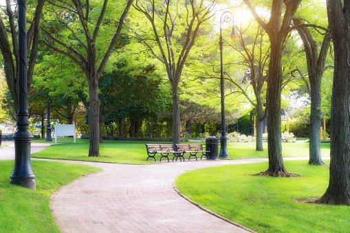 Empty bench in green park and sky with sun light, Green park outdoor | Photo: Getty Images