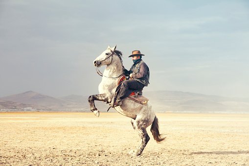 A travelling cowboy and his horse. | Photo: pixabay.com