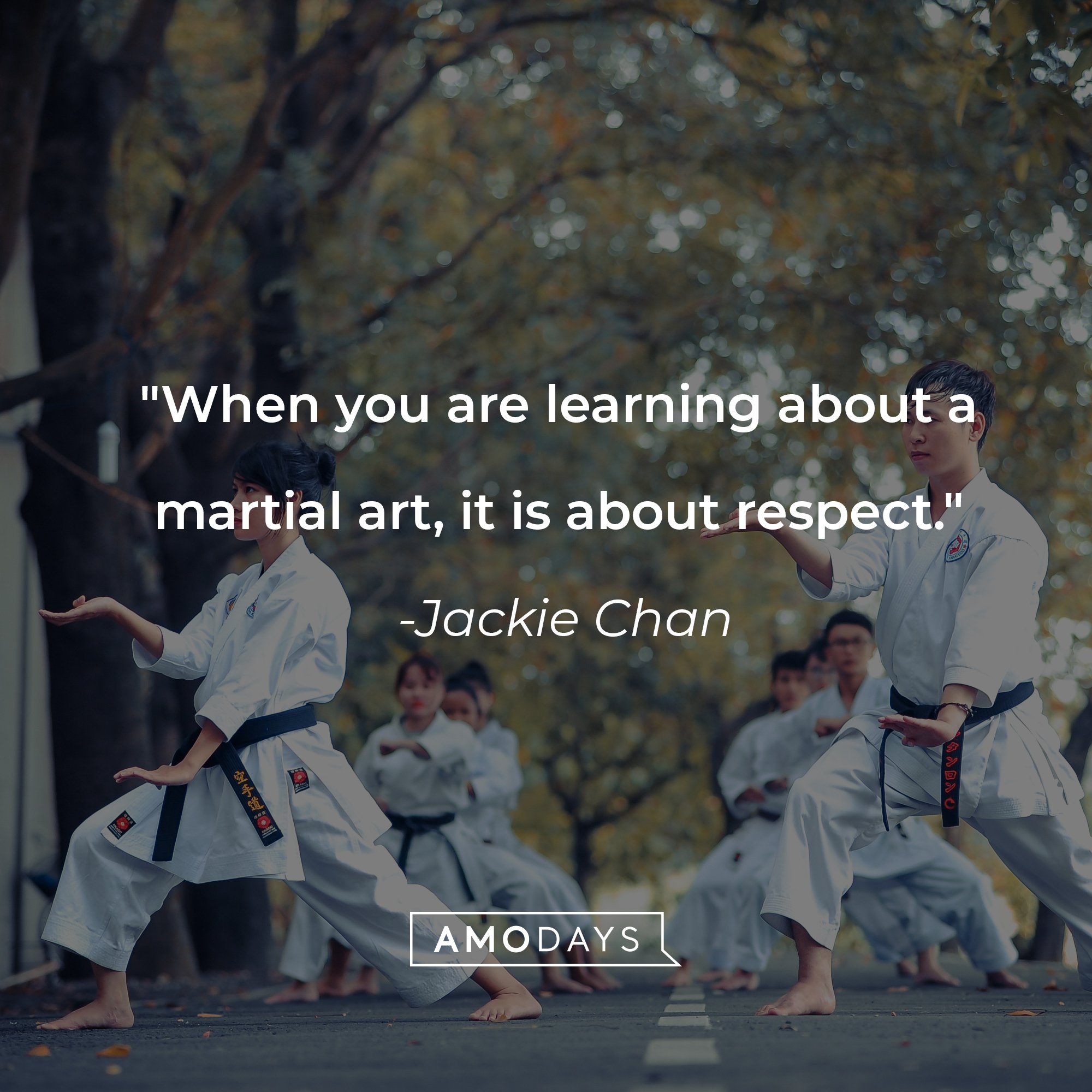 49 Martial Arts Quotes to Instil Discipline and Tranquility