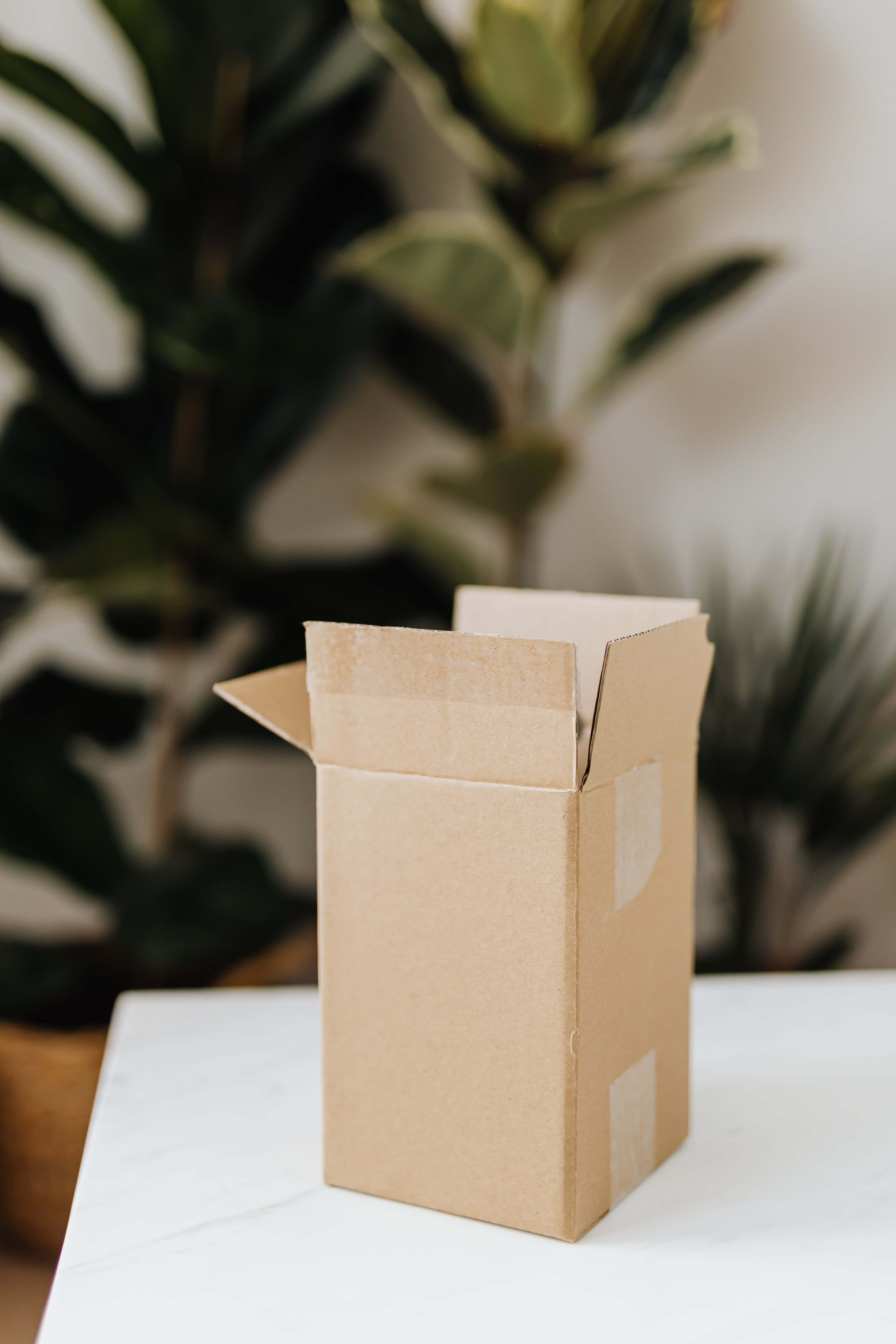 Cardboard box on table in room with plants. | Source: Pexels