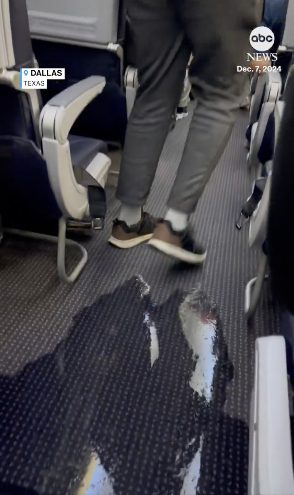 A passenger scrambles away as water fills the aisle of an American Airlines plane, from a post dated December 15, 2024 | Source: X/ABC