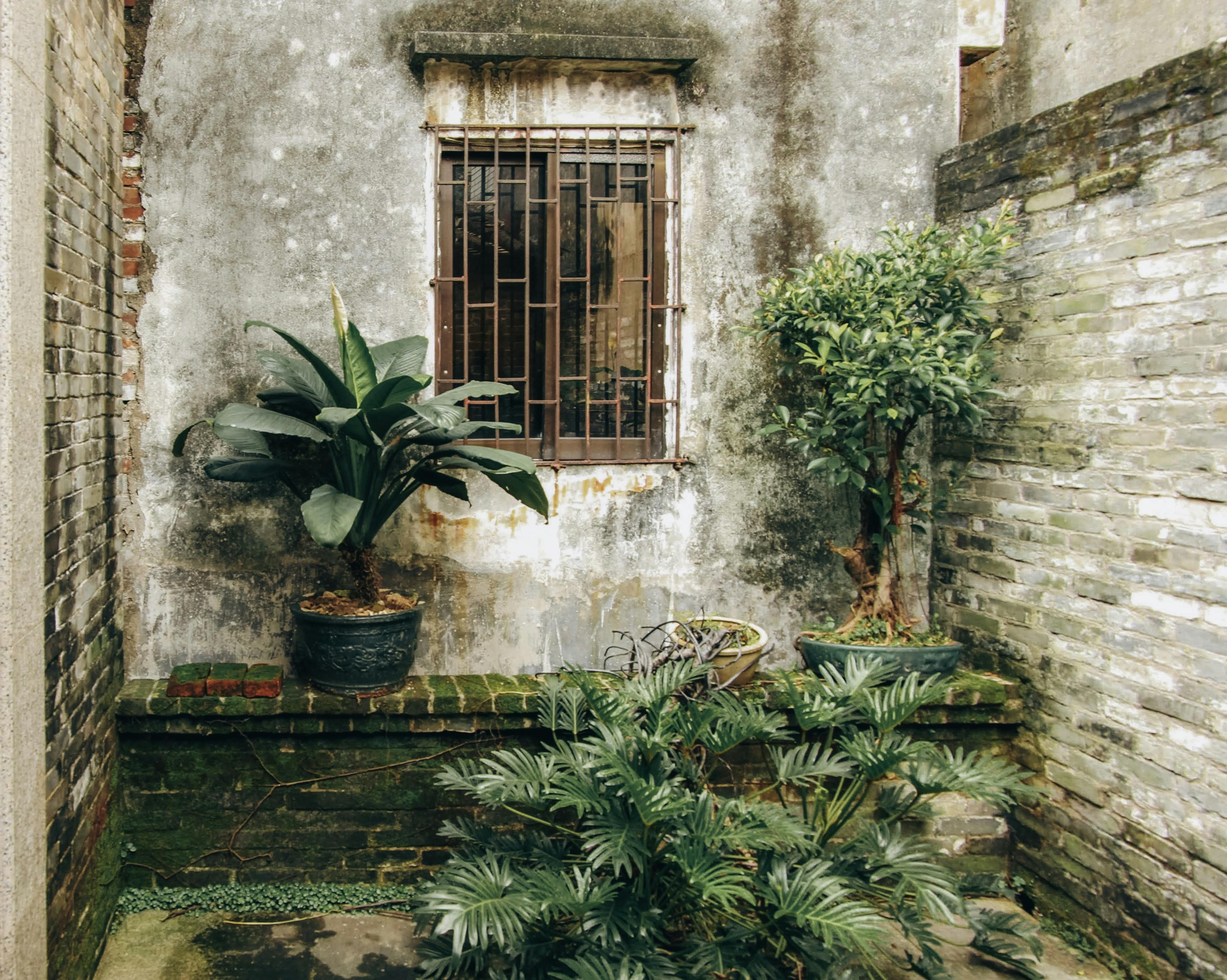 A small garden area | Source: Pexels