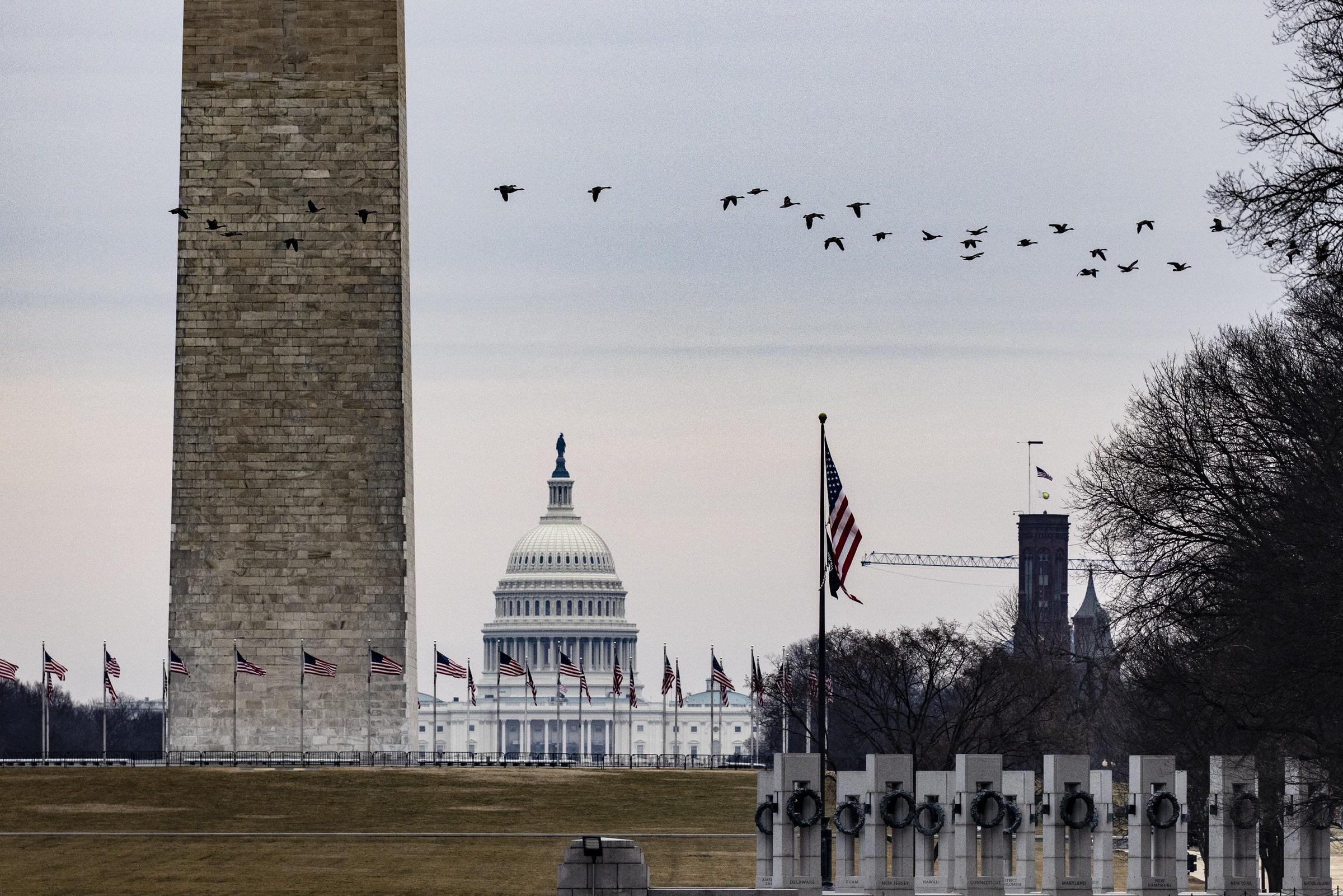 Geese fly over the National Mall with the U.S. Capitol behind the Washington Monument on President's Day, February 15, 2021 | Source: Getty Images