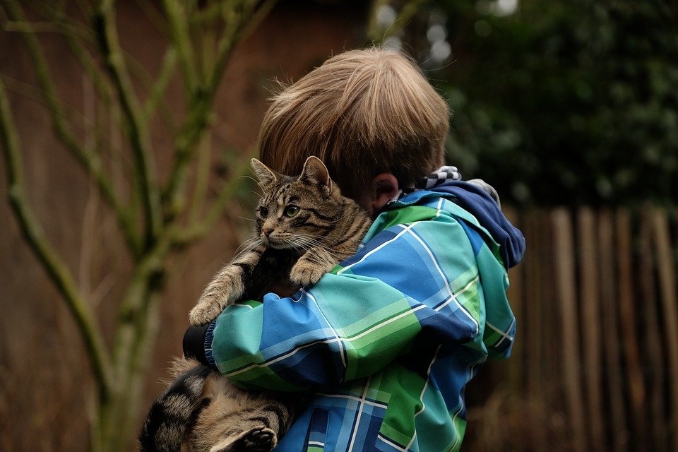 Niño abrazando a un gato. | Foto: Pixabay