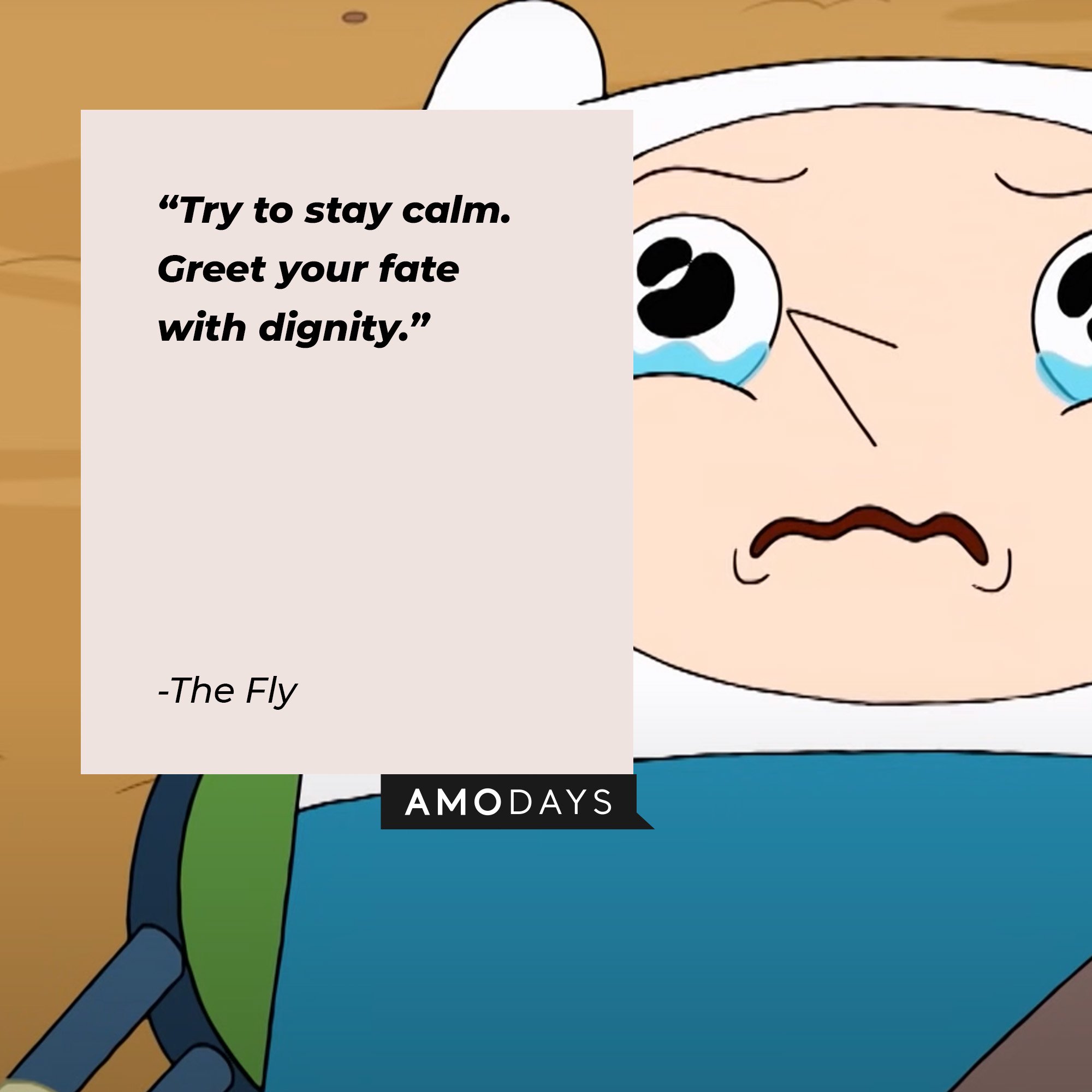 The Fly’s quote: “Try to stay calm. Greet your fate with dignity.”  | Image: AmoDays